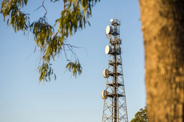 Radio Tower in Queensland