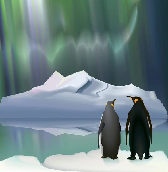 Wife - penguins on the iceberg