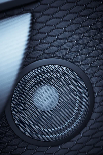 Car speaker detail