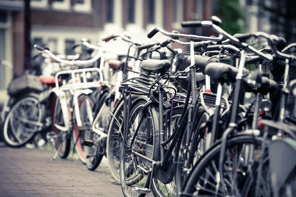 Group of parked bicycles