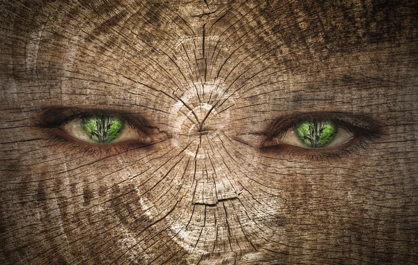 Green human eye on a wood