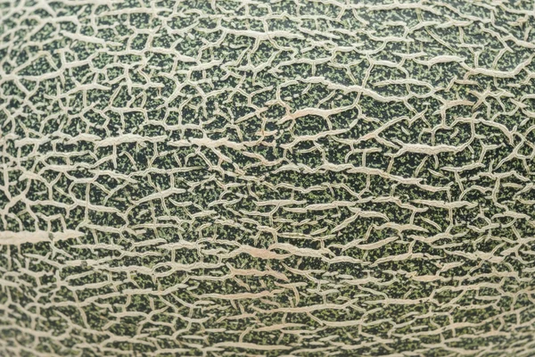 Pattern of green hami melon