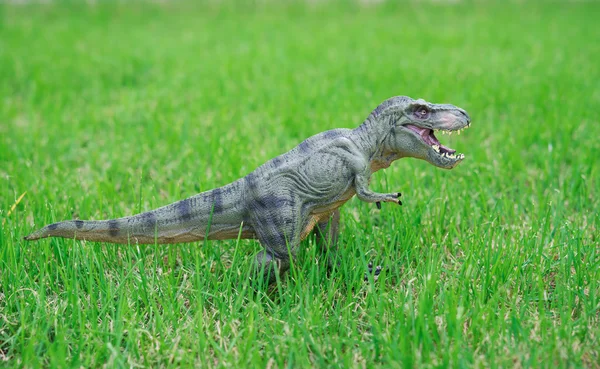 Tyrannosaurus toy stands on glass