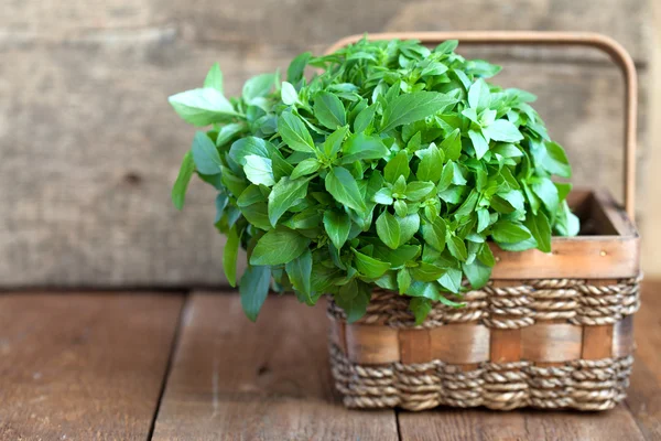 Bunch of fresh green basil in a basket on a wooden table, select