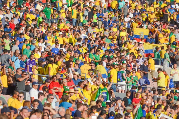 Soccer fans during Copa America Centenario