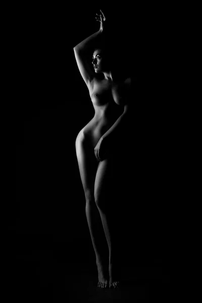 Contours of the female body on a dark background. Sexy body nude