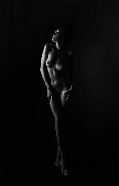 Contours of the female body on a dark background. Sexy body nude