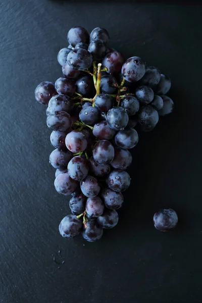 Branch of blue grapes on slate