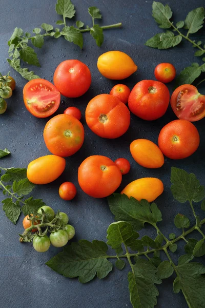 Ripe organic tomatoes mix on slate
