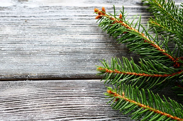 Christmas pine branch on gray wooden boards