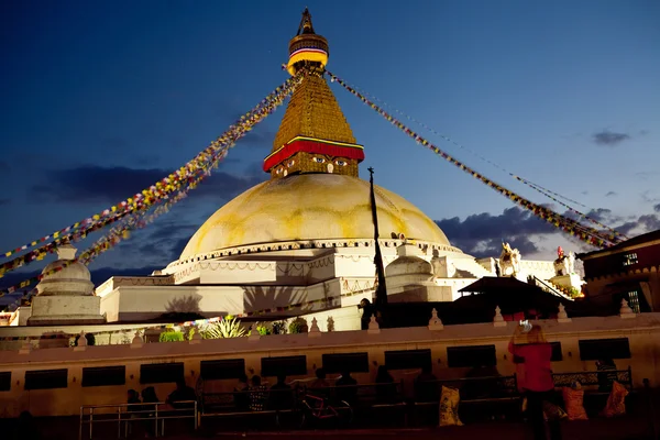 World\'s Largest Buddhist stupa at night in Nepal