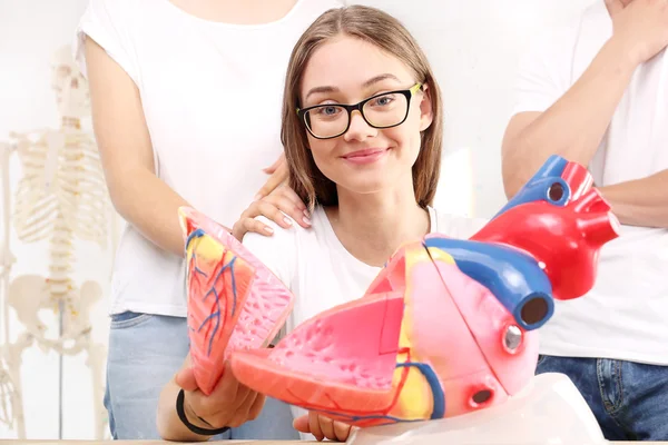 Heart. Students on biology lessons watch model of the human heart