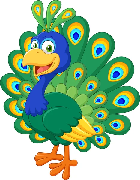 Peacock Stock Vectors, Royalty Free Peacock Illustrations | Depositphotos®