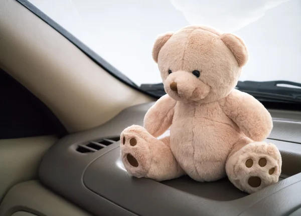 Teddy bear in car