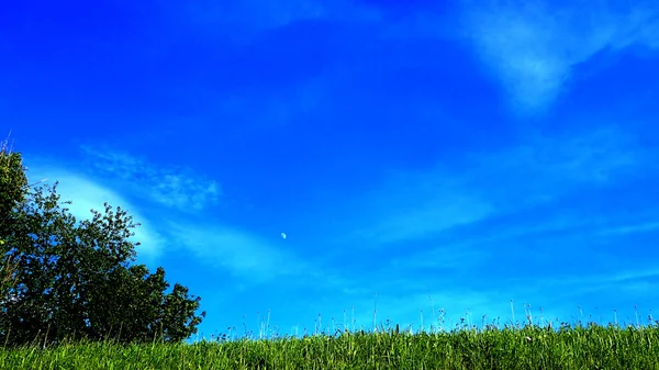 Day Moon on a background of blue sky on a warm summer day.