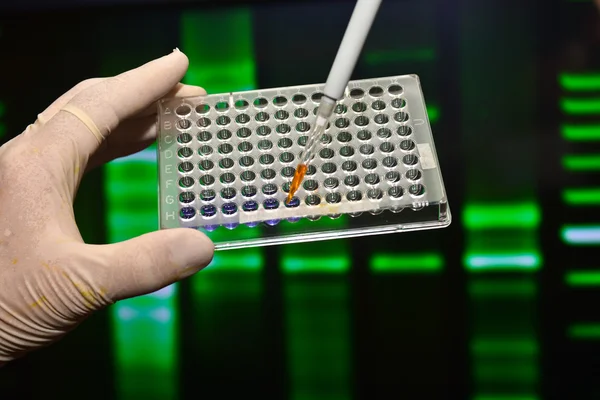 DNA testing in genetic laboratories.