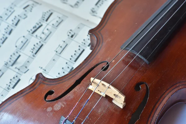 German ancient violin and notes.