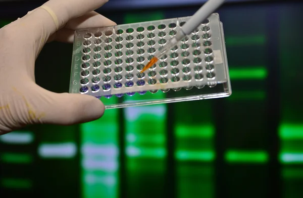 DNA testing in genetic laboratories.