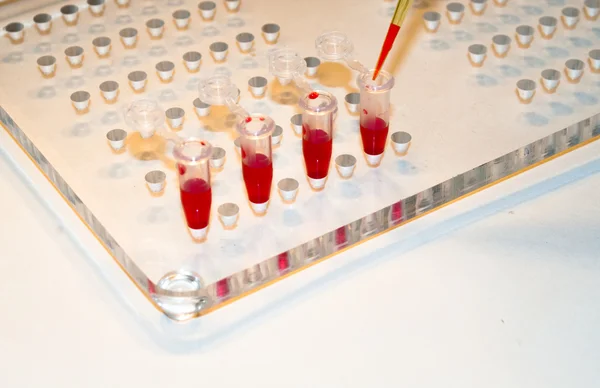 In medical laboratories studied blood.