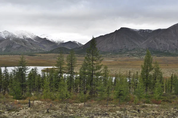 Autumn tundra on the background of mountains in Yakutia.