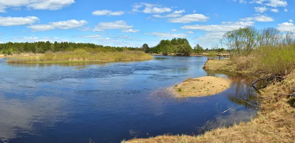 Panorama of the river in springtime.