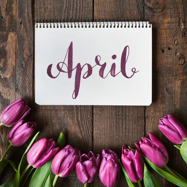 April brush nib lettering calligraphy. Pink, tulips bunch on dark barn wood planks background. Postcard template.