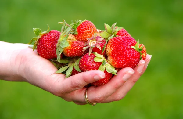 Strawberries in hands