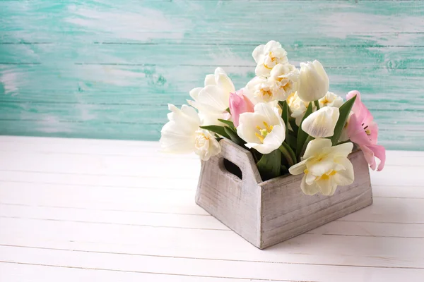 Tulips and narcissus flowers  in box