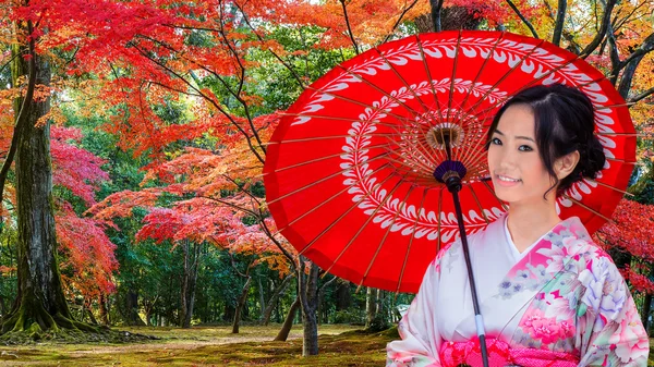 Young Japanese Woman in A Japanese Garden in Autumn