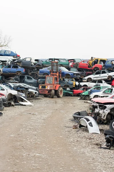 Cars in junkyard