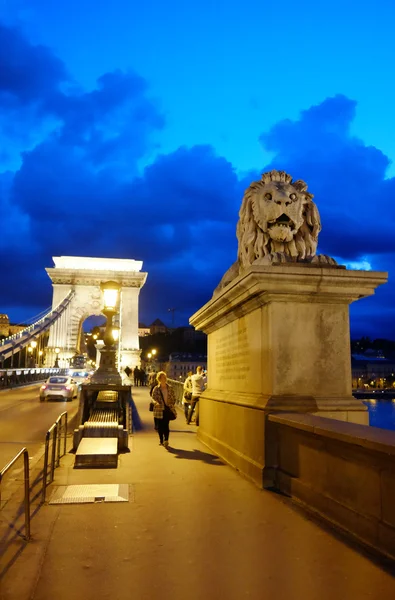 BUDAPEST, HUNGARY - MAY 13, 2016: statue of Lion on night\'s Chain Bridge in Budapest