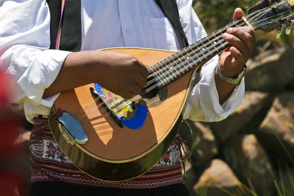 Man playing on traditional musical instrument