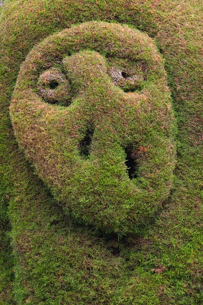Bush cut into the shape of a face in topiary garden