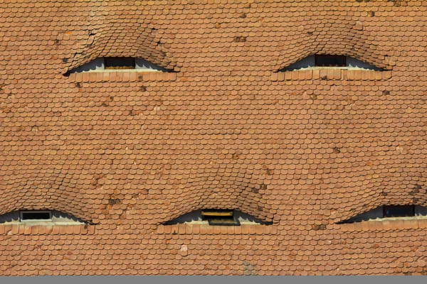 Eyebrow windows in Hungary