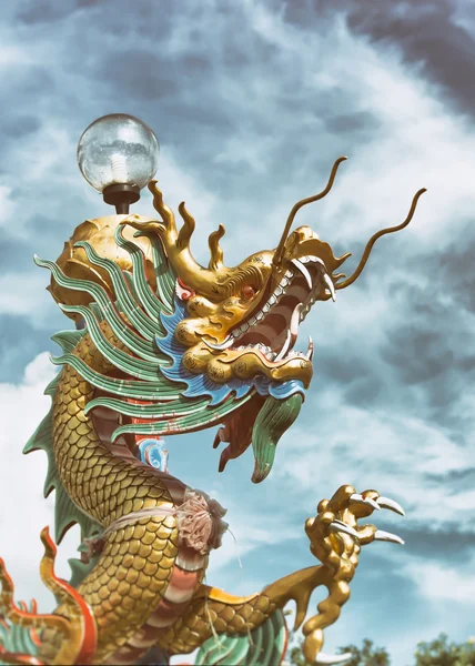 Chinese Dragon beautiful background.