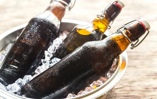 Bottles of beer in ice cubes