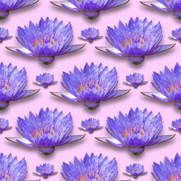 Water Lily pattern