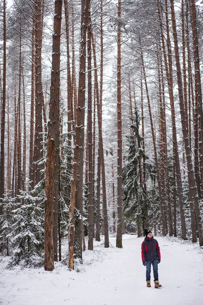 Young guy in black-and-red jacket and cap in a winter forest