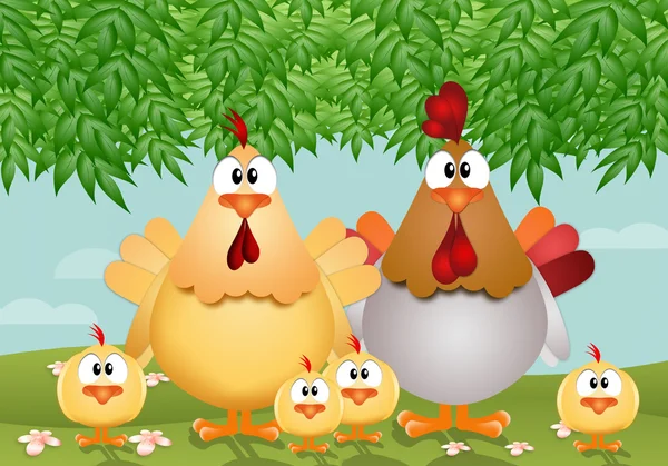 Chicken\'s family