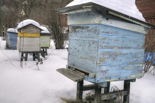 Bee Hives In Winter