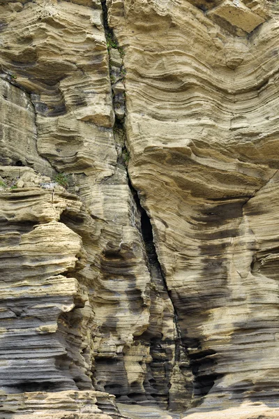 Strange Rocks at Yoengmeri Beach in Jeju