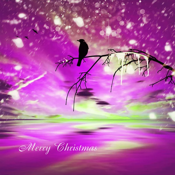 Christmas card with bird on twig
