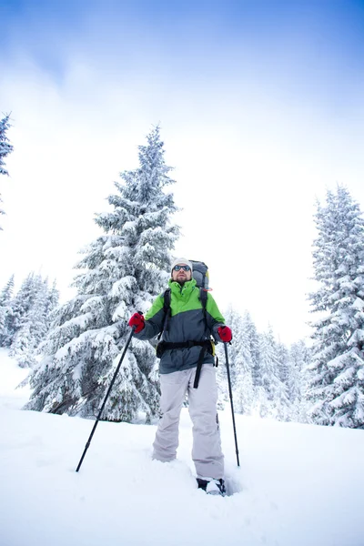 Hiker walks in snow forest