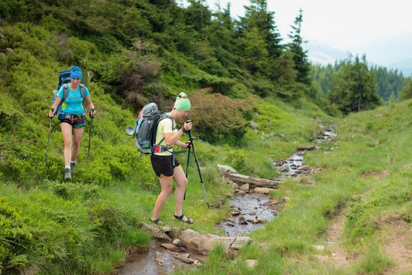 Young people are hiking in Carpathian mountains in summertime