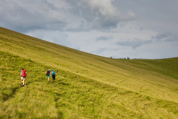 Young people are hiking in Carpathian mountains in summertime