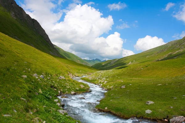 River in spring season