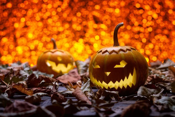 Pumpkins for Halloween in the fall foliage