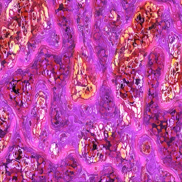 Embryonic stem cells illustration