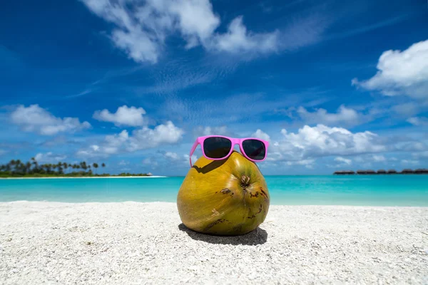 Coconut funny wearing sunglasses on the beach