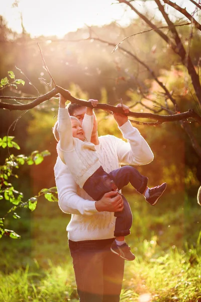 Dad helps support the boy hanging on the branch of a tree,  suns